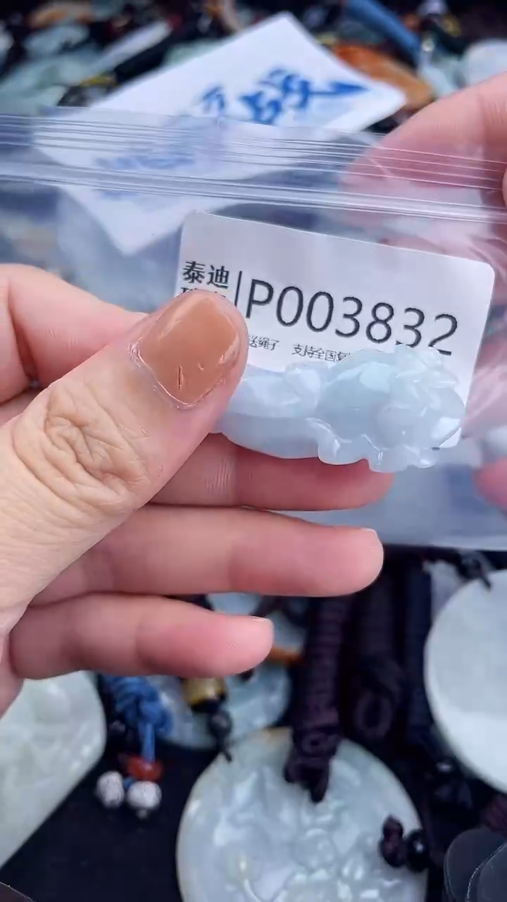 【闪购商品】翡翠颈饰未镶嵌1