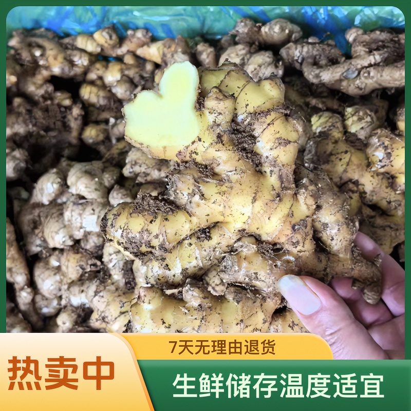 窖藏小黄姜，月子姜3斤5斤