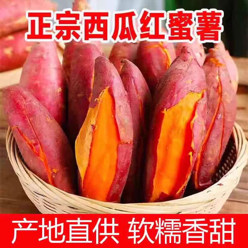 正宗粤北连州高山沙地西瓜红蜜薯小番薯糖心红薯农家种植产地直发