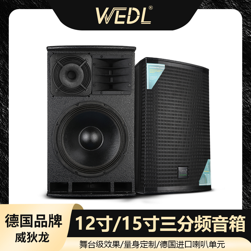 德国WEDL专业音响KTV家庭影院会议户外演出12 15寸三分频音箱套装