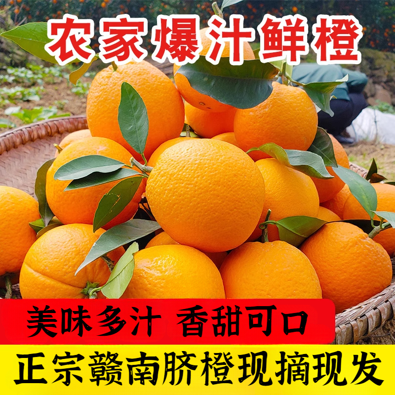 新鲜脐橙子当季水果手剥冰糖甜橙非江西赣南的脐橙整箱发货榨汁