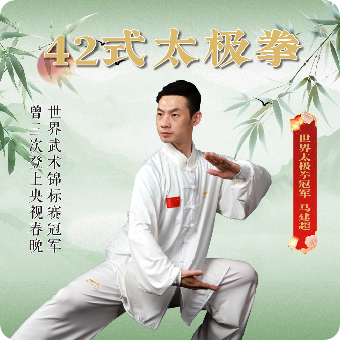 马建超太极拳教学【42太极拳】