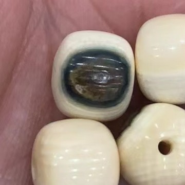 MM14猛犸蓝眼睛冰裂纹单珠8X9多样性发其一