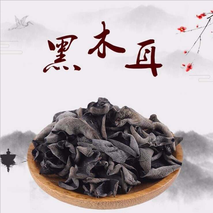 小黑木耳         