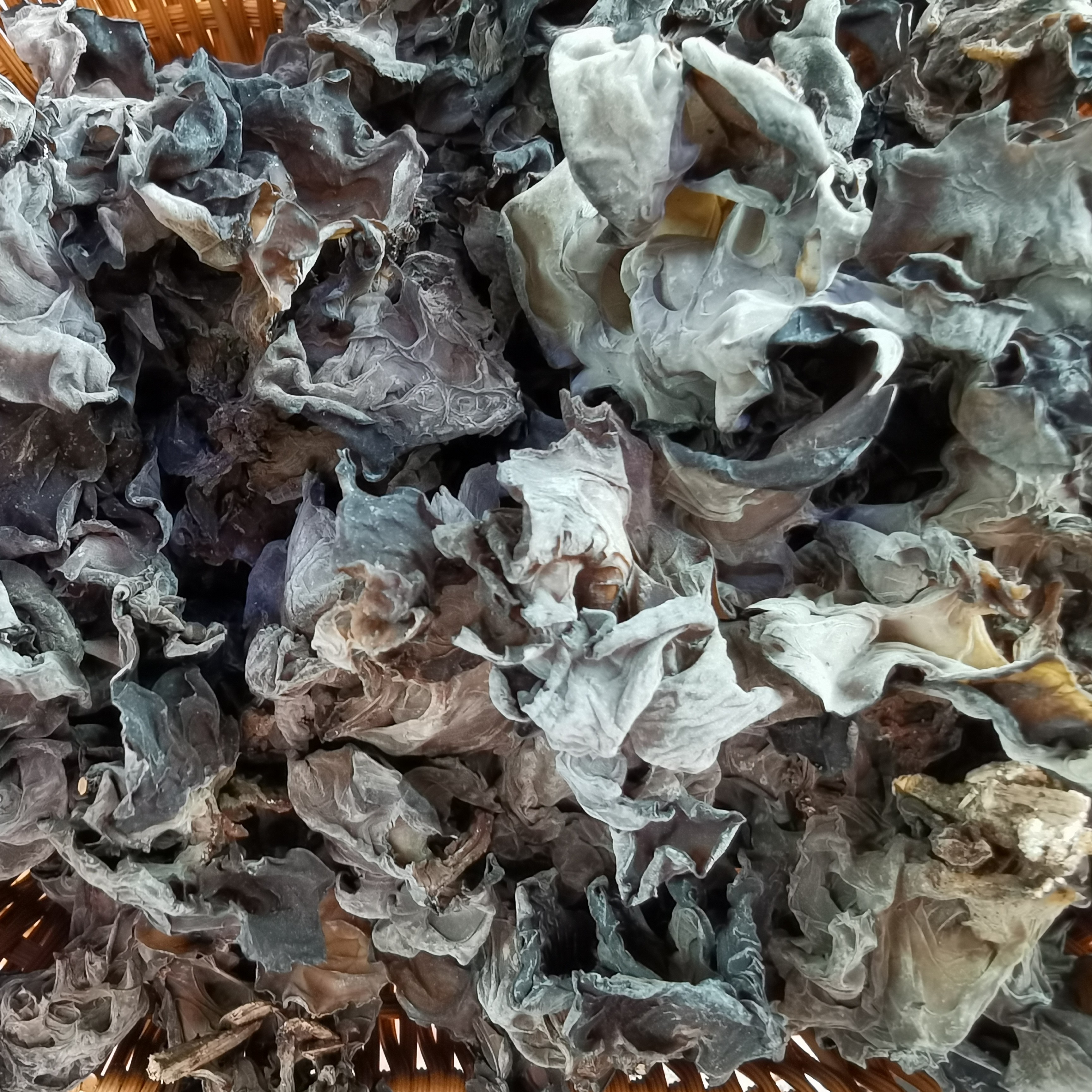 嘉荫椴木耳一斤包邮