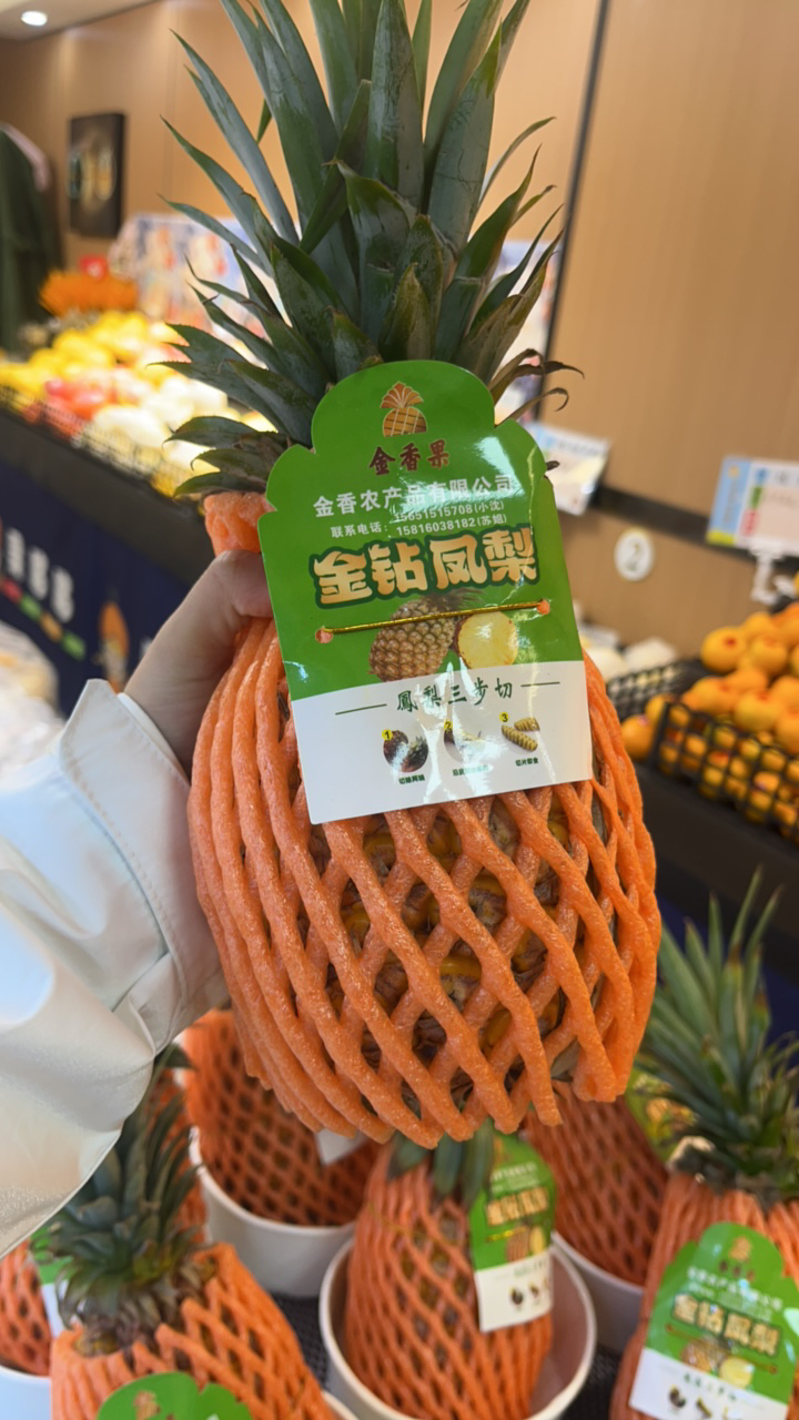金钻凤梨