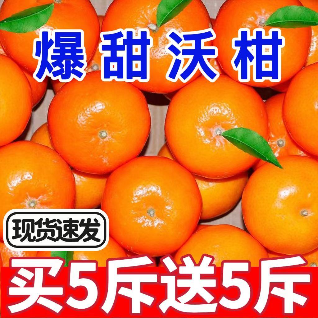 【新店半价】广西武鸣沃柑1/10斤少核皮薄肉厚多汁皇帝柑粑粑柑丑橘