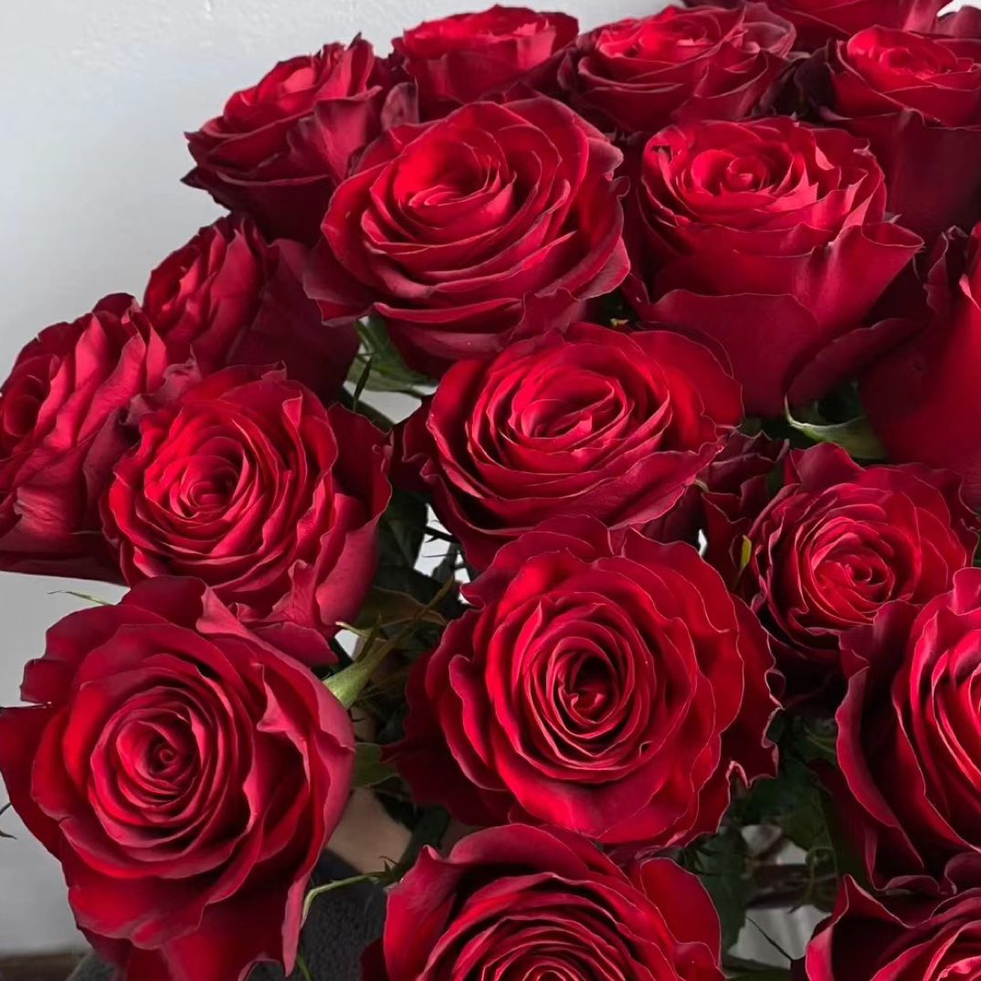 AB级高原红20支一单包邮