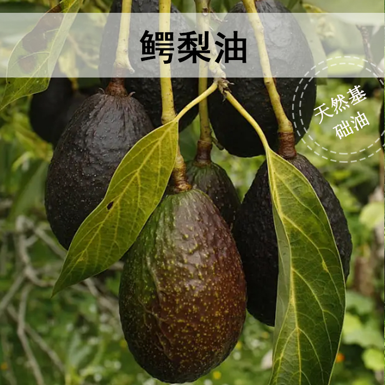 冷压初榨鳄梨油（基础油）