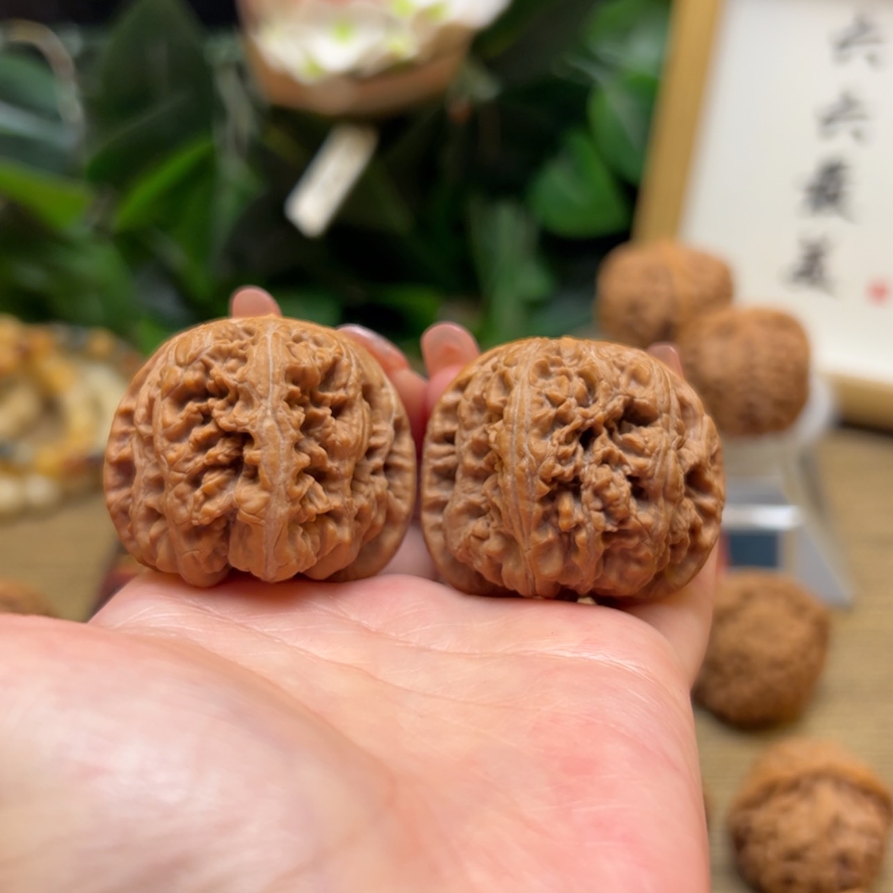 【闪购商品】文玩核桃把件39平谷粗筋