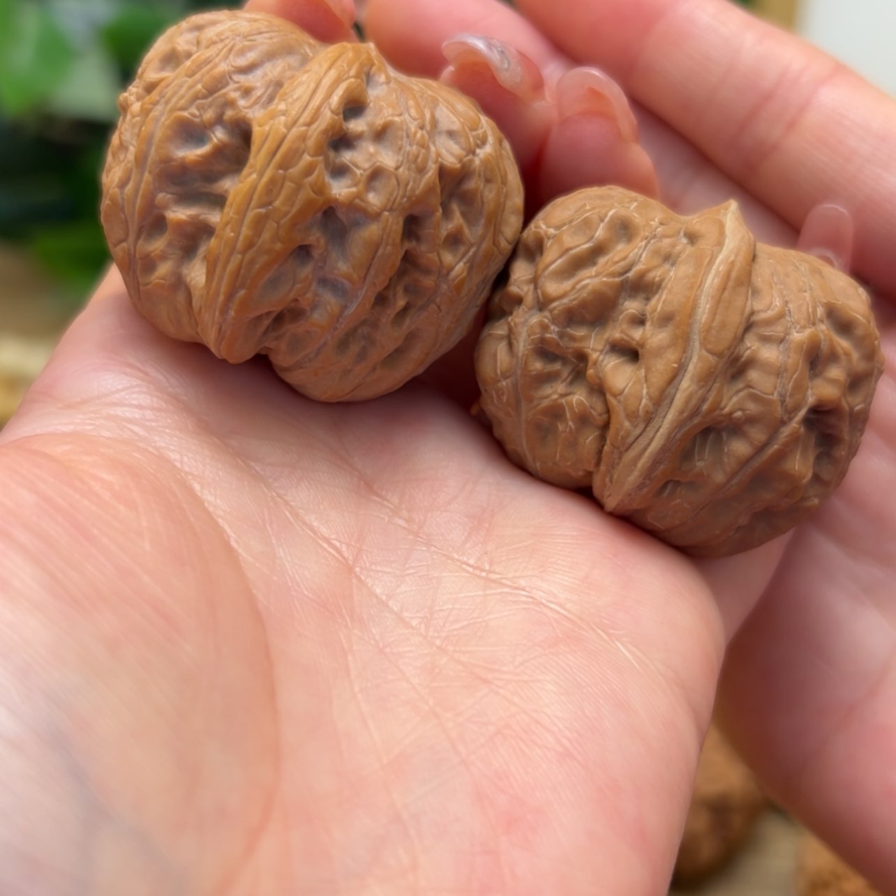 【闪购商品】文玩核桃把件39.5平谷元宝