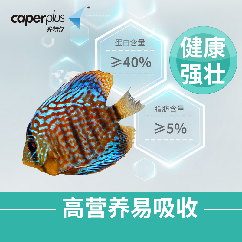 七彩神仙鱼埃及鱼燕鱼热带鱼增艳小颗粒缓沉鱼粮