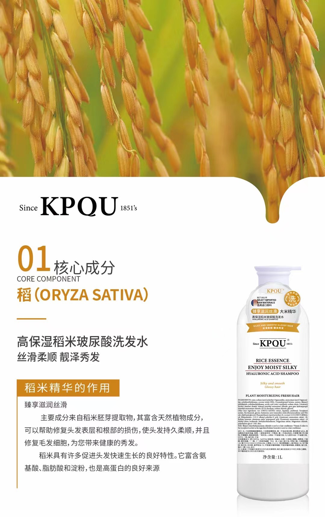 高保湿生姜玻尿酸洗发水