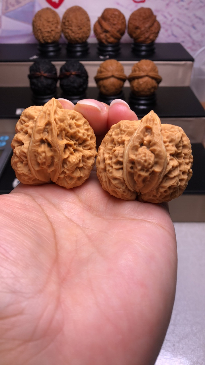 生命云南野生铁皮核桃文玩