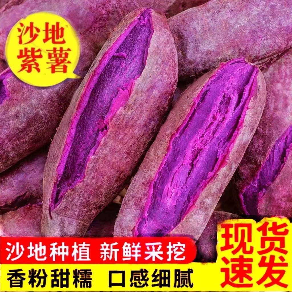 紫薯新鲜1/2/3/5/现挖农家沙地紫心蜜薯地瓜番薯山芋芍红薯