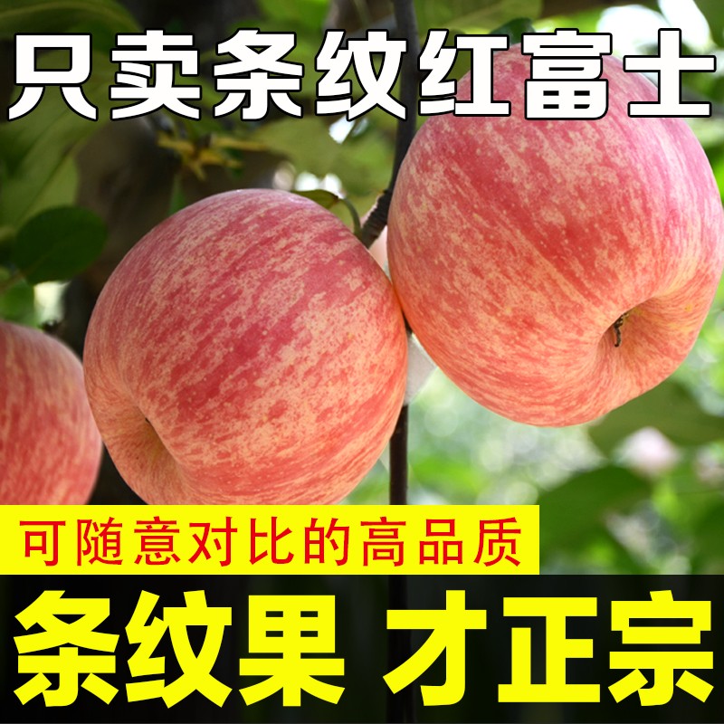 烟台红富士苹果水果新鲜条纹脆甜一级整箱山东栖霞包邮正宗