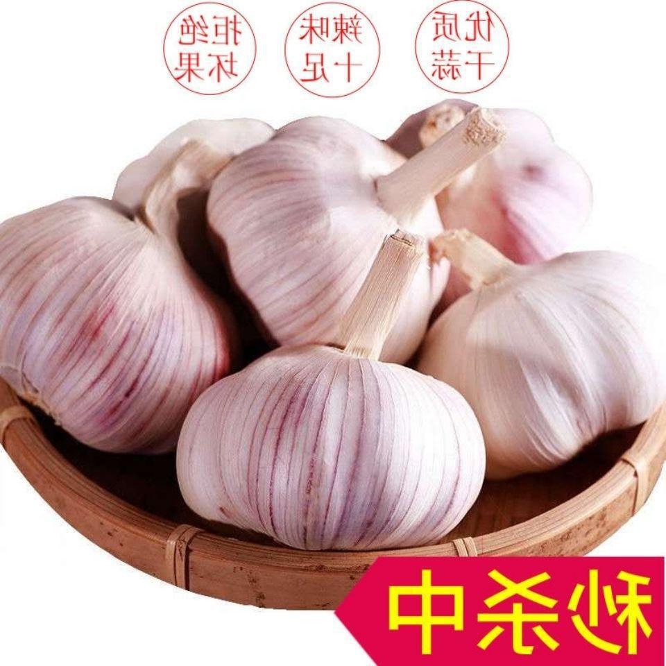 干大蒜金乡大蒜蒜头 新干大蒜 大蒜 产地直发包邮整箱批发干辣味