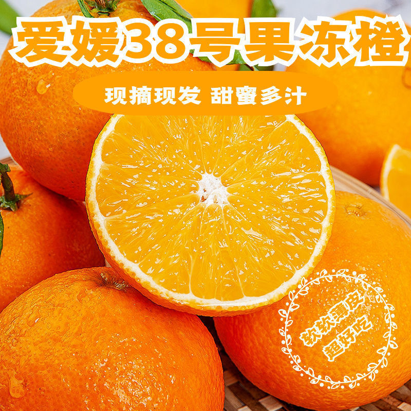 爱媛38果冻橙子水果新鲜应季水果超甜整箱批发橘子薄皮爱爱媛38号