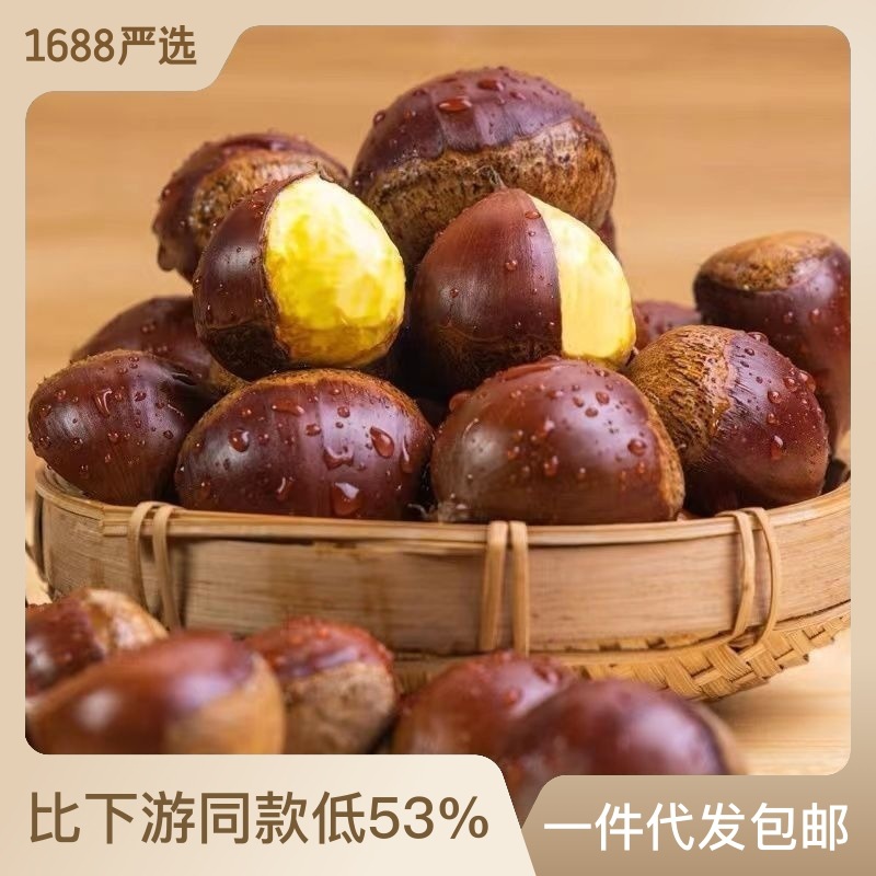 板栗2022丹东大板栗生栗子新鲜农家现摘锥栗仁带壳3/应季批发饱满