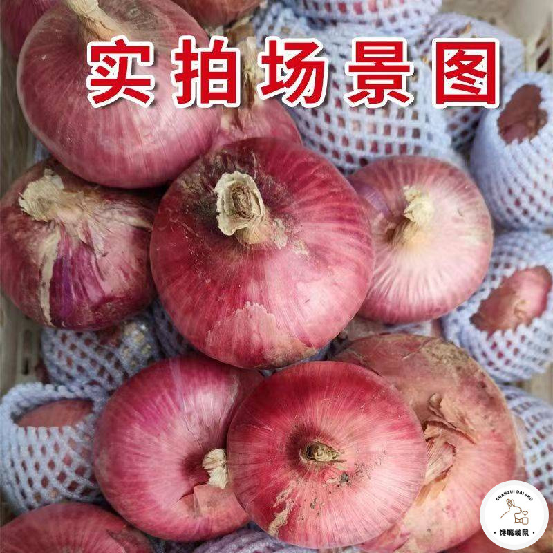 洋葱新鲜水果洋葱甜味生吃山东紫皮红皮扁洋葱生吃甜圆葱蔬菜