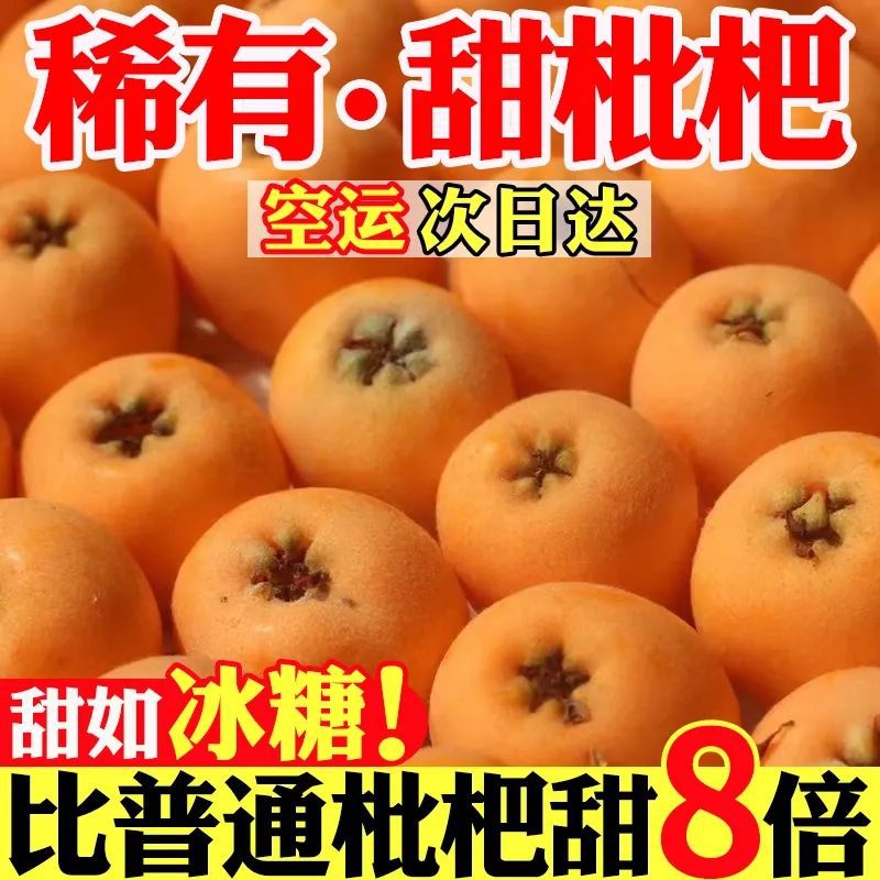 【超甜】四川大五星枇杷新鲜水果当季米易枇杷果孕妇琵琶甜枇饱满