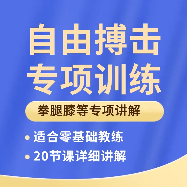 自由搏击专项教学