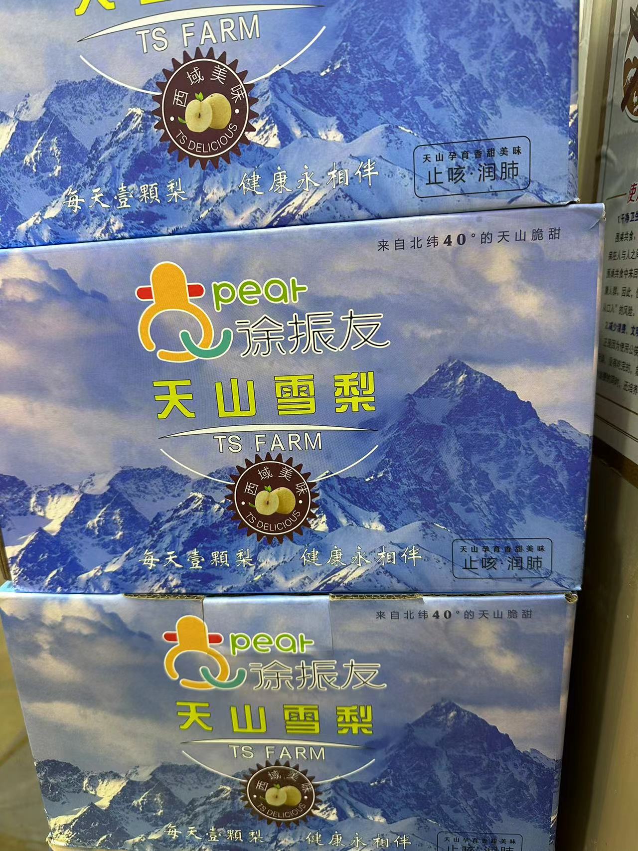 天山雪梨 中果一箱 5斤左右