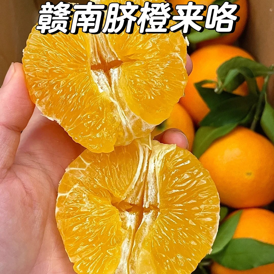 g赣南脐橙 5斤装