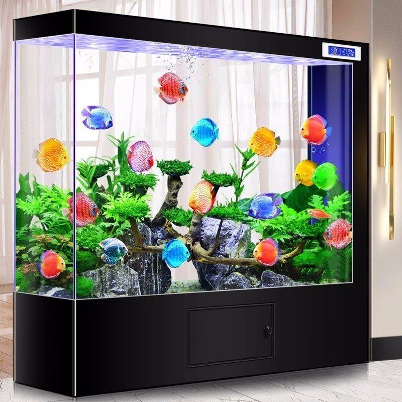 超白玻璃方形鱼缸客厅家用新款屏风隔断免换水族箱懒人生态金鱼缸
