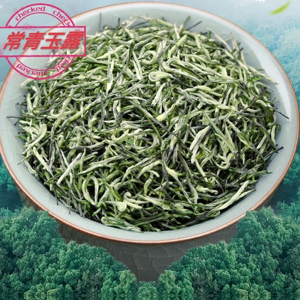 恩施毛尖茶叶新茶春茶绿茶浓香型嫩芽高山云雾手工茶叶耐泡茶