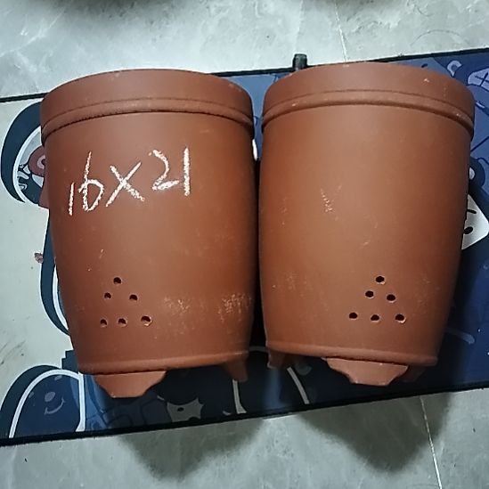 紫砂20CM（含）-50CM（不含）红泥三线两个瑕疵