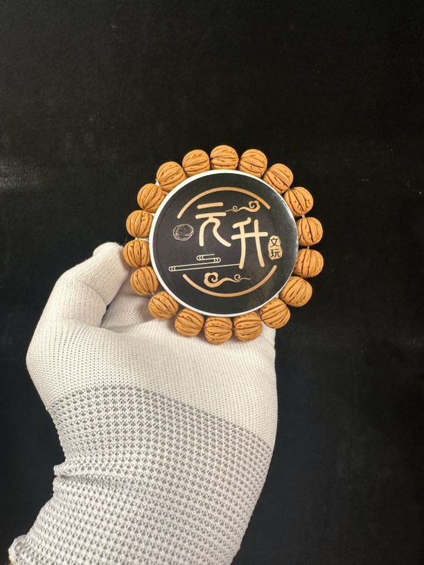 海王三叉戟大宽旗三道筋