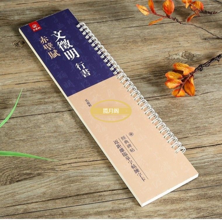 【老师同款】文征明行书前后赤壁赋放大版文征明行书毛笔法临摹字帖