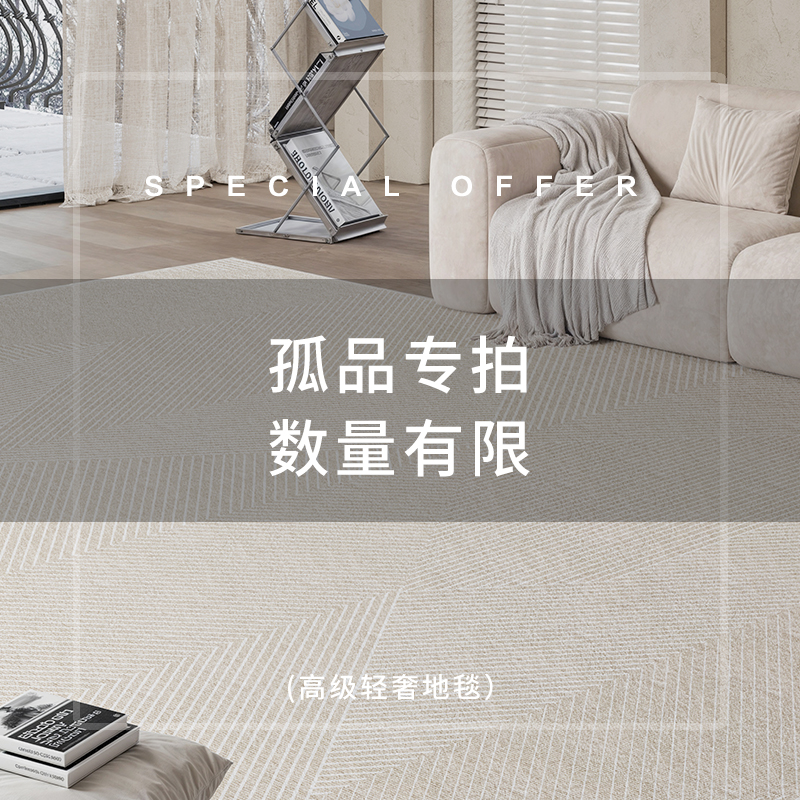 编码1-50现代简约大气床边床尾客厅便携大地毯大面积客厅室内地毯