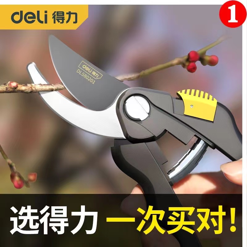 得力工具剪枝修枝剪刀果树园林园艺剪修剪树枝花艺剪省力大粗枝剪