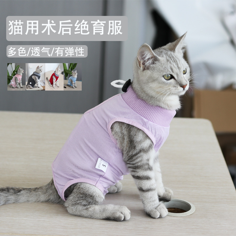 猫手术后服装宠物猫咪绝育服生理裤术恢复母猫断奶服防舔衣服防脱