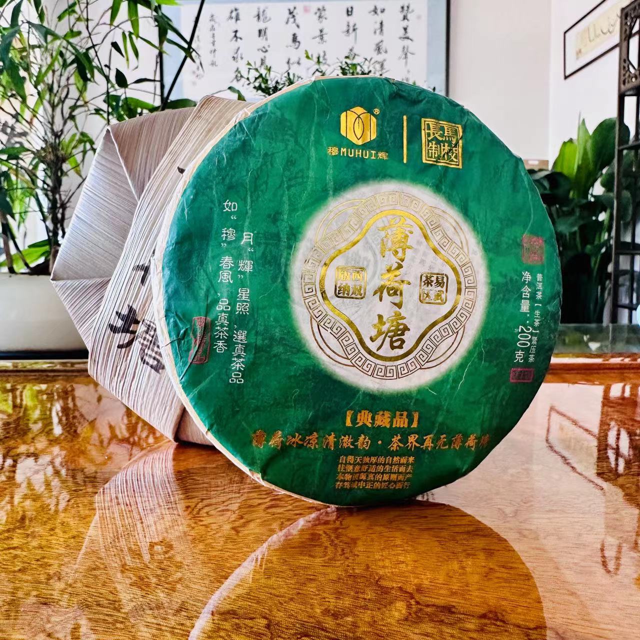 2023年【薄荷塘】普洱生茶紧压饼茶200g