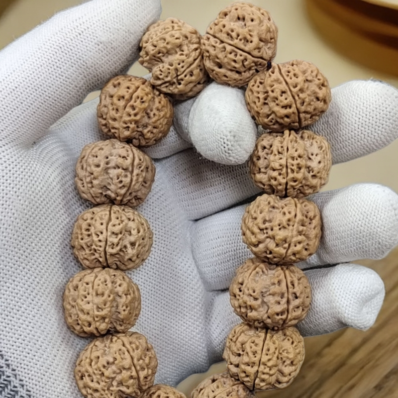 尼泊尔大金刚古龙蜂王原皮原色双龙矮庄21尺寸