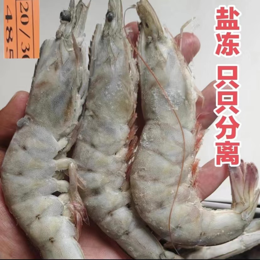 【速冻】20-30 活冻大虾