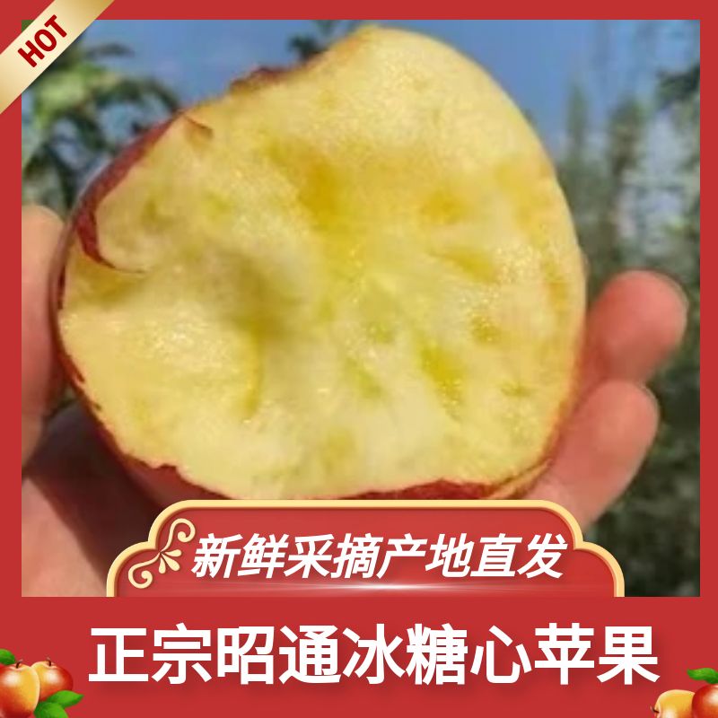 云南昭通早熟红露糖心苹果5斤装现摘新鲜营养甜脆甜GC