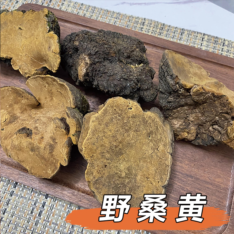 精选大自然西藏野货桑黄10年以上大号整块250g/500g   【鱼干】
