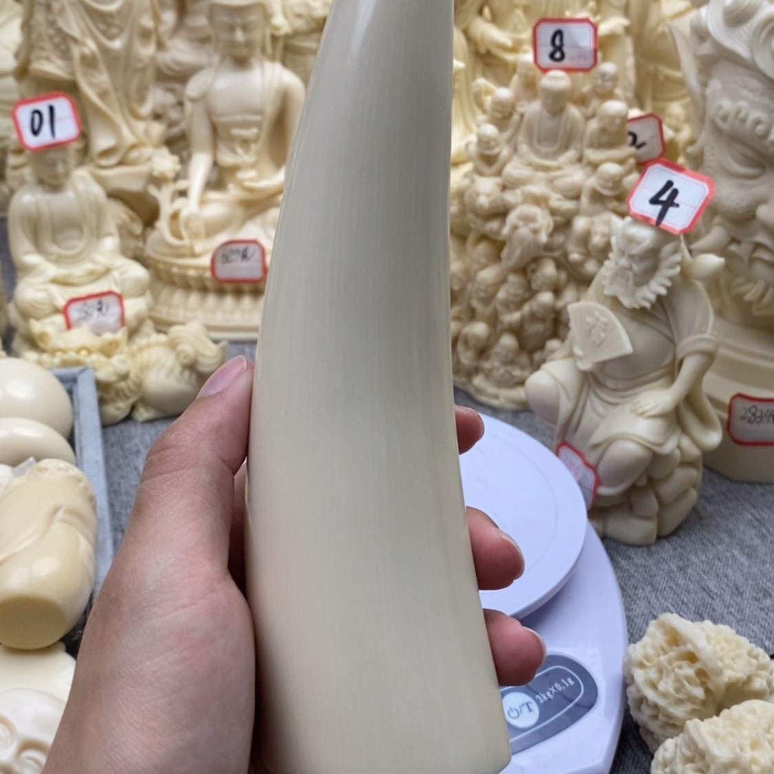 【闪购商品】红贵宝猛犸尖尖
