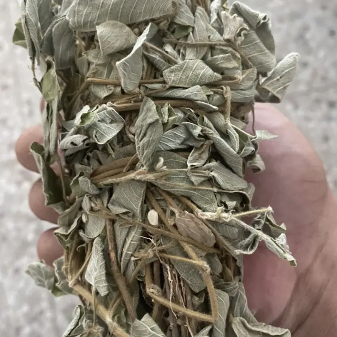 【金钱草】农家晒干当季金钱草