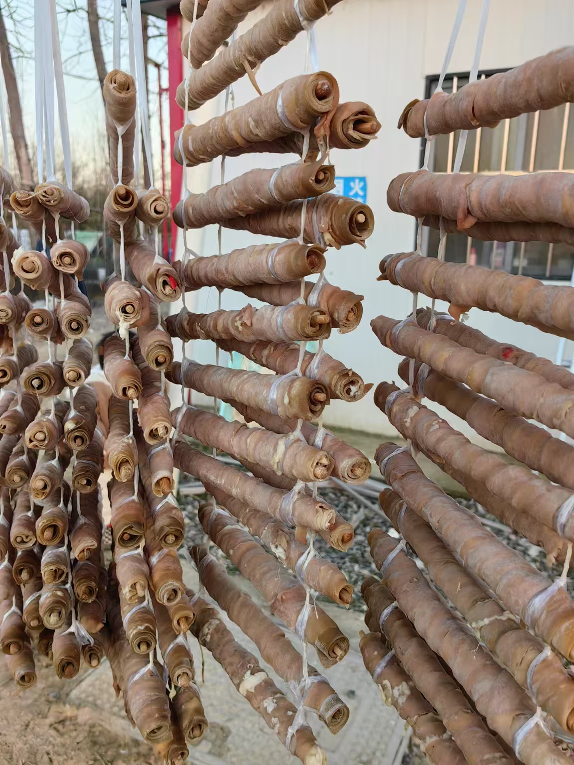 【腊鹅肠】顺丰包邮皖西白鹅鹅肠养足300天一根鹅肠卷一张豆皮