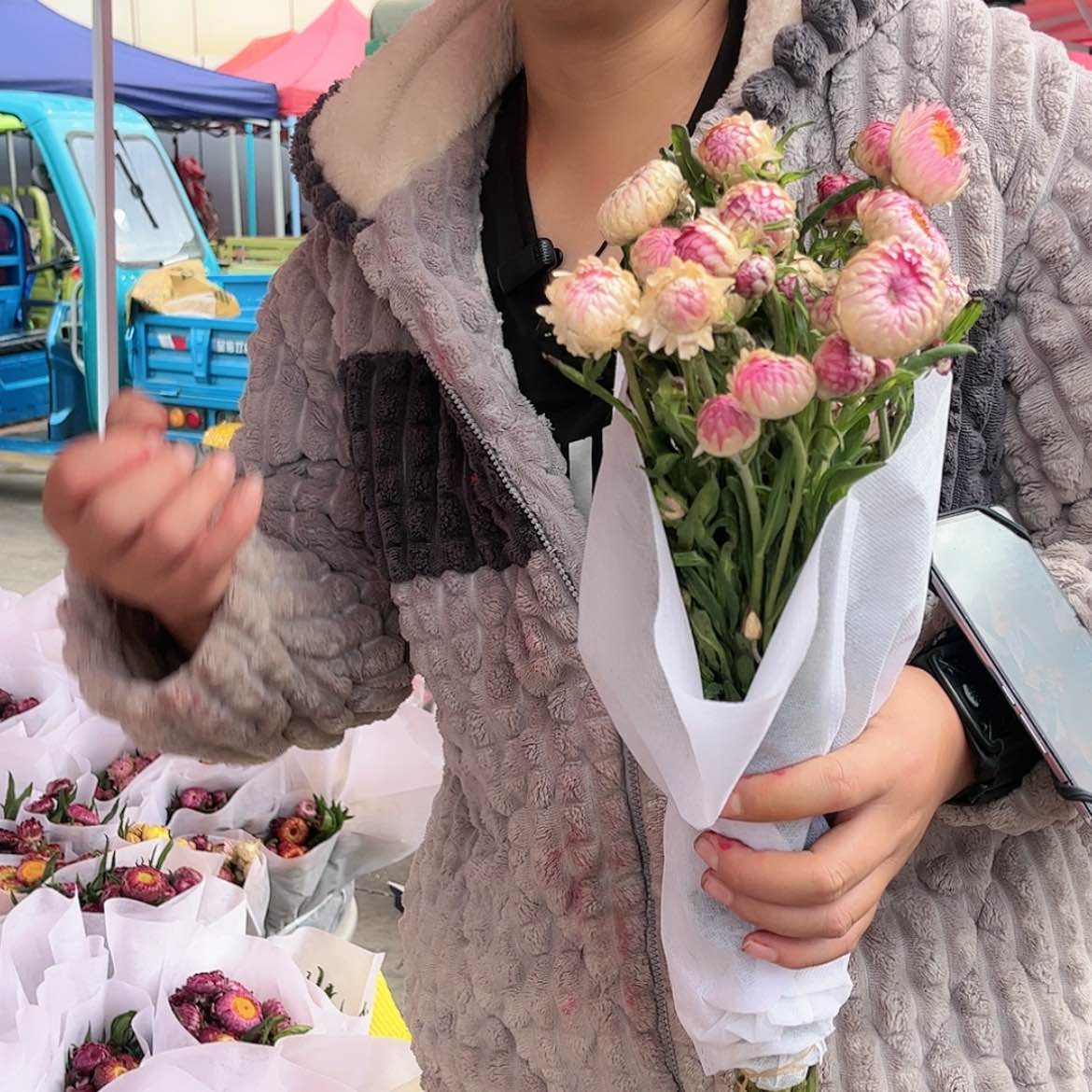 【闪购商品】麦秆菊3把 1单中通2单顺丰