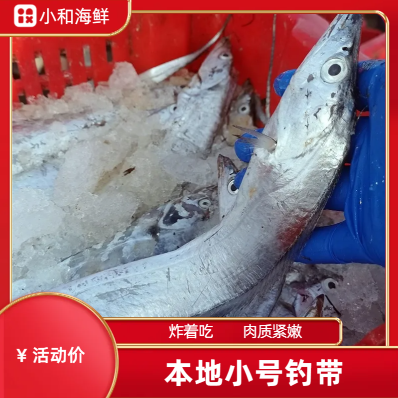 （中钓带）纯本地 肉厚 肉厚肉质紧嫩10斤装