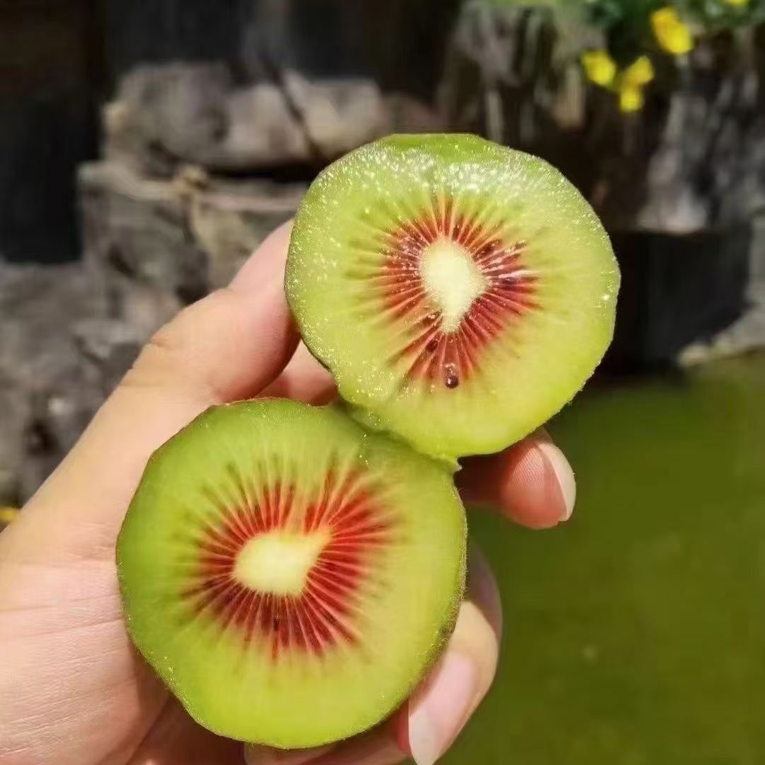 【王大水专属】红心猕猴桃奇异果新鲜当季现摘水果超甜