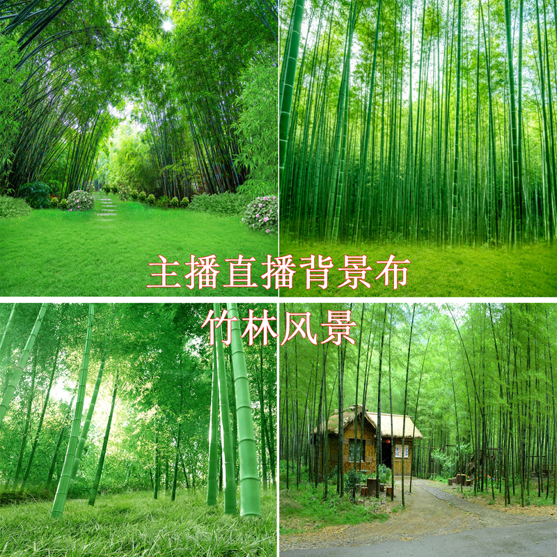 新主播直播背景布拍段子视频竹林风景春季花草3d立体拍照