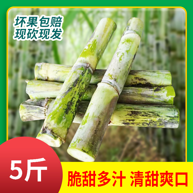 旌德特产青皮脆皮绿皮多汁甘蔗5斤装（迷你款）甘蔗有裂，介意勿拍