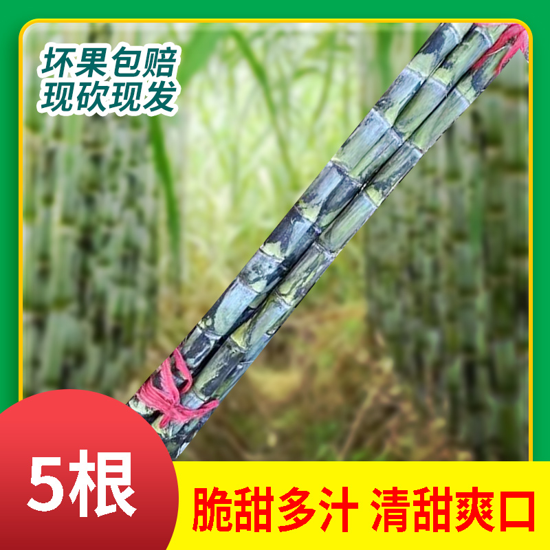旌德特产新鲜采摘青皮脆皮绿皮多汁甘蔗5根装（甘蔗有裂，介意勿拍）